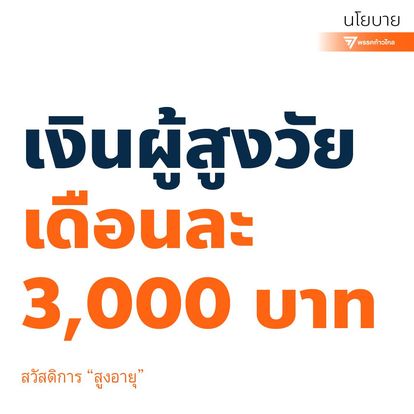 นโยบาย 300